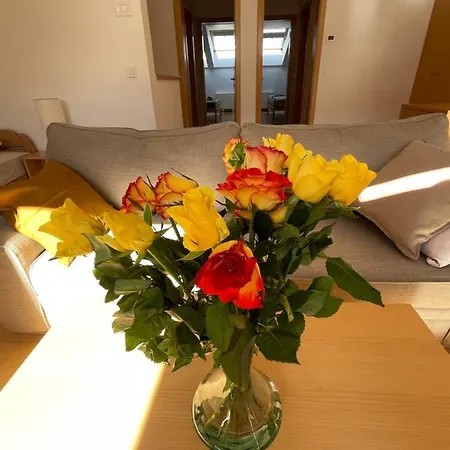 Apartment Jz - Pohorje Marburg