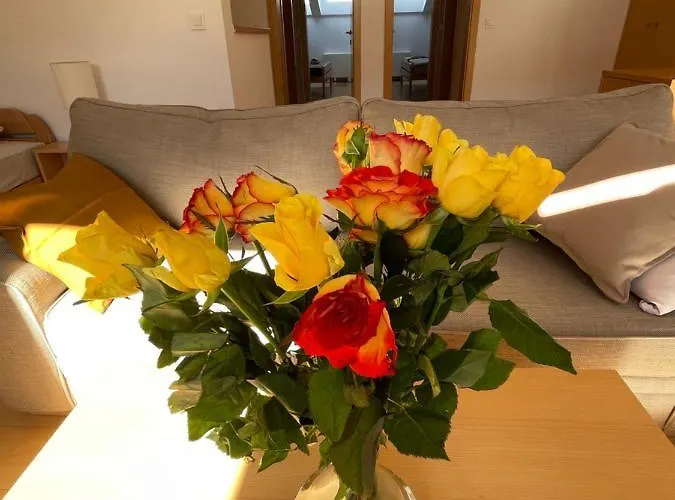 Appartement Jz - Pohorje Maribor